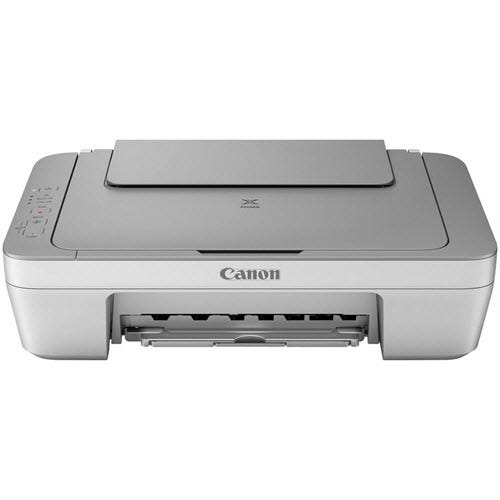 Canon PIXMA MG2520 Ink